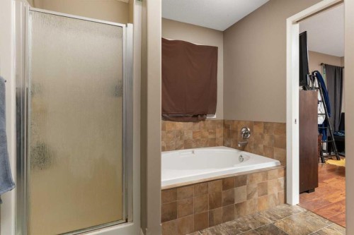 43440 Range Road 113, Rural Flagstaff County, AB - Indoor Photo Showing Bathroom