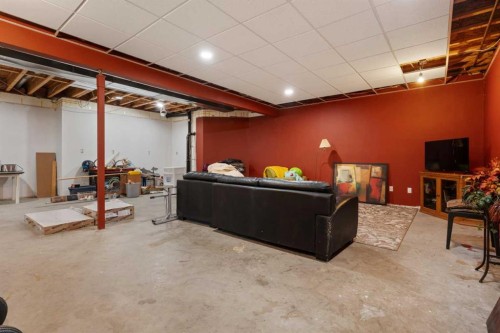 43440 Range Road 113, Rural Flagstaff County, AB - Indoor Photo Showing Basement