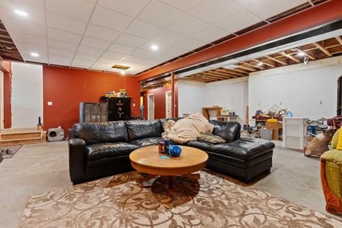 43440 Range Road 113, Rural Flagstaff County, AB - Indoor Photo Showing Basement