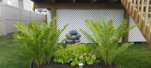 36 Johns Street, Red Deer, AB - Outdoor With Deck Patio Veranda