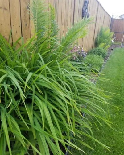 36 Johns Street, Red Deer, AB - Outdoor