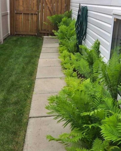 36 Johns Street, Red Deer, AB - Outdoor