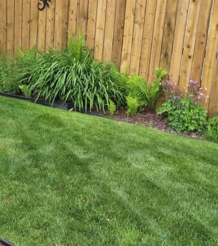 36 Johns Street, Red Deer, AB - Outdoor