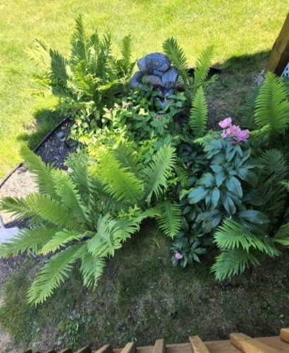 36 Johns Street, Red Deer, AB - Outdoor