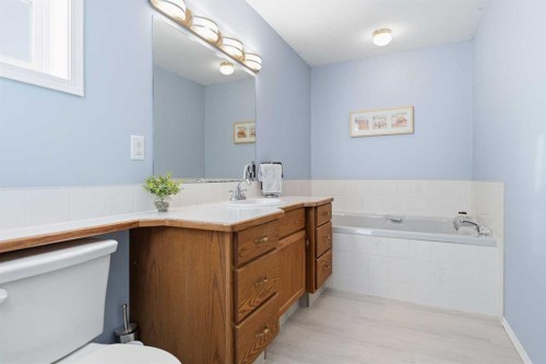 39081 C&E Trail, Red Deer, AB - Indoor Photo Showing Bathroom