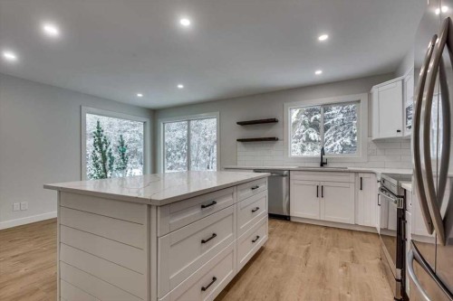 5302 42 Avenue, Red Deer, AB - Indoor Photo Showing Kitchen With Upgraded Kitchen
