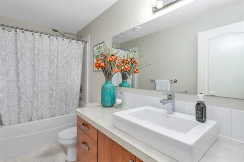 149 Carrington Drive, Red Deer, AB - Indoor Photo Showing Bathroom