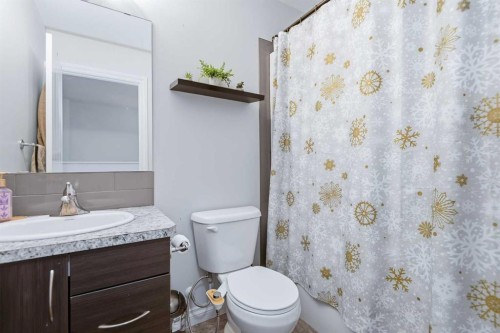 10 Adamson Avenue, Red Deer, AB - Indoor Photo Showing Bathroom