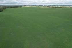 On Township Road 374  Rural Red Deer County, AB T4E 1P8