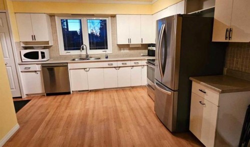 5110 51, Castor, AB - Indoor Photo Showing Kitchen With Double Sink