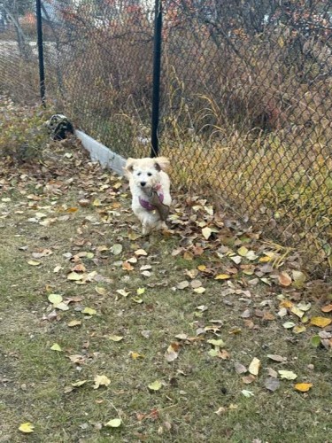 5111 47 Avenue, Sylvan Lake, AB - Outdoor