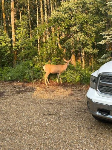 5111 47 Avenue, Sylvan Lake, AB - Outdoor