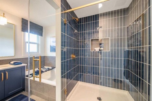 571 Buffaloberry Manor Se, Calgary, AB - Indoor Photo Showing Bathroom