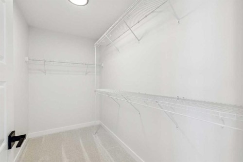 571 Buffaloberry Manor Se, Calgary, AB - Indoor With Storage