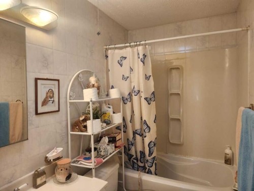 54 Ogden Avenue, Red Deer, AB - Indoor Photo Showing Bathroom