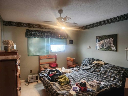 54 Ogden Avenue, Red Deer, AB - Indoor Photo Showing Bedroom