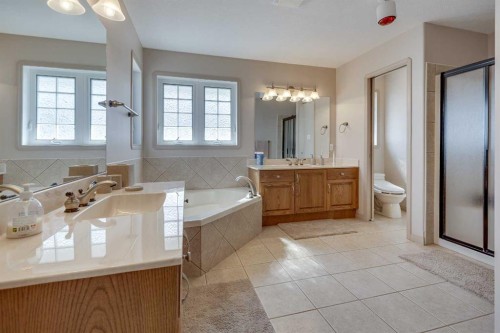 384 Marina Bay Place, Sylvan Lake, AB - Indoor Photo Showing Bathroom