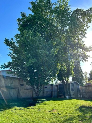 3630 Erickson Drive, Camrose, AB - Outdoor