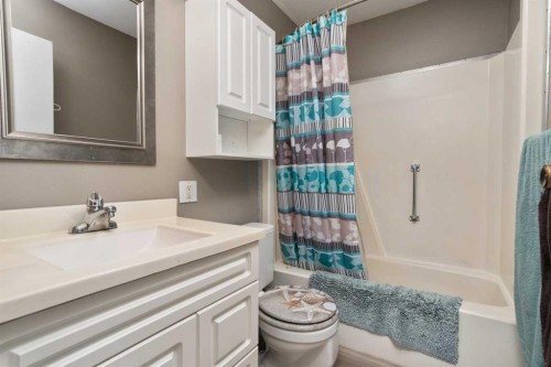 19252 462 Township, Rural Camrose County, AB - Indoor Photo Showing Bathroom