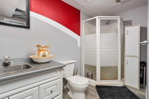 19252 462 Township, Rural Camrose County, AB - Indoor Photo Showing Bathroom