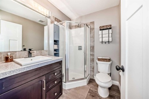 668 Robinson Avenue, Penhold, AB - Indoor Photo Showing Bathroom