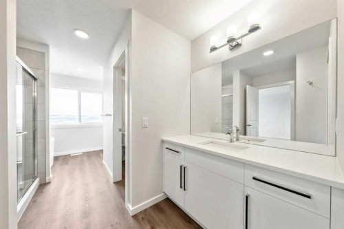 24 Heritage Link, Cochrane, AB - Indoor Photo Showing Bathroom