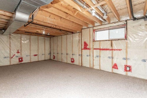 63 Vickers Close, Red Deer, AB - Indoor Photo Showing Basement