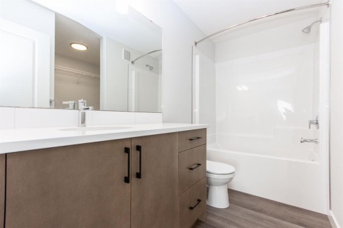 17 Trinity Street, Lacombe, AB - Indoor Photo Showing Bathroom