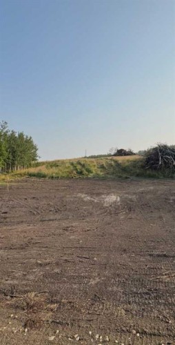 Sw 1/4 Sec 21-42-1-5 ; Lot 1, Rural Ponoka County, AB 