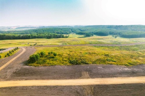 Sw 1/4 Sec 21-42-1-5; Lot 4, Rural Ponoka County, AB 