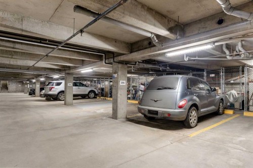 206-45 Gervais Road, St. Albert, AB - Indoor Photo Showing Garage