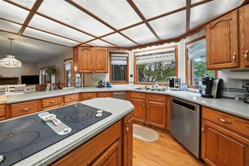 107 Allison Crescent, Red Deer, AB - Indoor Photo Showing Kitchen With Double Sink