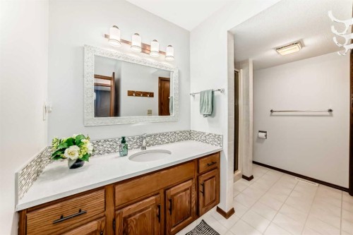 128 Dickenson Crescent, Red Deer, AB - Indoor Photo Showing Bathroom