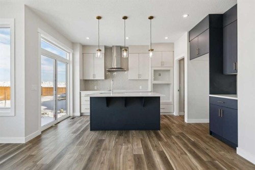 420 Bridgeport Glen, Chestermere, AB - Indoor Photo Showing Kitchen With Upgraded Kitchen