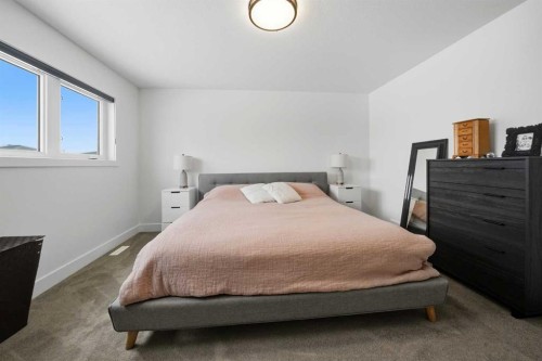 244 Emerald Drive, Red Deer, AB - Indoor Photo Showing Bedroom