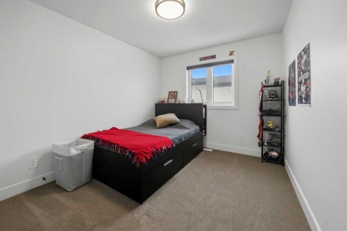 244 Emerald Drive, Red Deer, AB - Indoor Photo Showing Bedroom