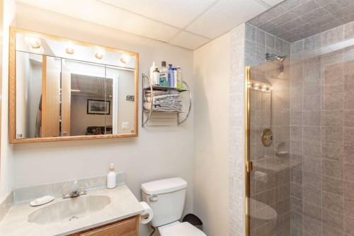 18 Mclevin Crescent, Red Deer, AB - Indoor Photo Showing Bathroom