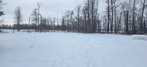 262053 Township Road 444, Rural Ponoka County, AB - Outdoor With View