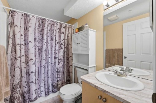 112-3 Broadway Rise, Sylvan Lake, AB - Indoor Photo Showing Bathroom