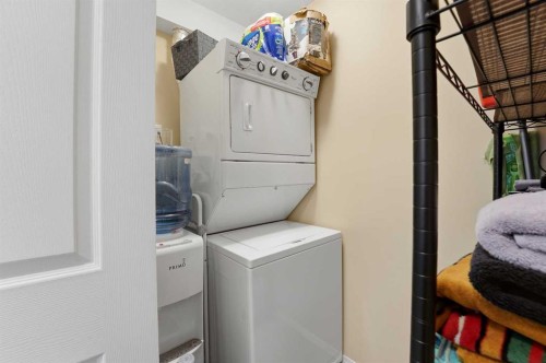 112-3 Broadway Rise, Sylvan Lake, AB - Indoor Photo Showing Laundry Room