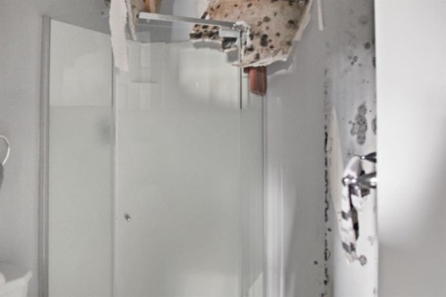 4840 49 Avenue, Irma, AB - Indoor Photo Showing Bathroom