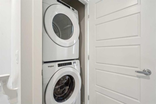 14685 1 Street Ne, Calgary, AB - Indoor Photo Showing Laundry Room