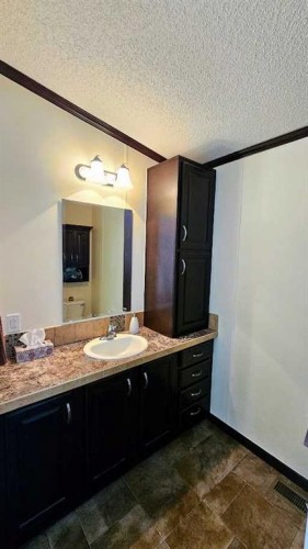 205 4 Street Nw, Sundre, AB - Indoor Photo Showing Bathroom