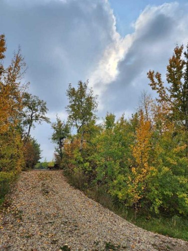 39 Sunset Lane, Rural Stettler No. 6, County Of, AB 