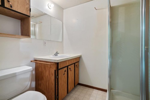 4210 69 Street, Camrose, AB - Indoor Photo Showing Bathroom