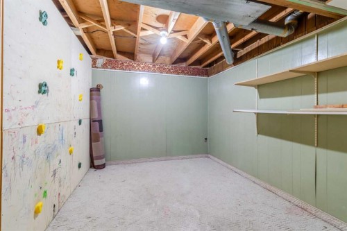 38 Ogden Avenue, Red Deer, AB - Indoor Photo Showing Basement