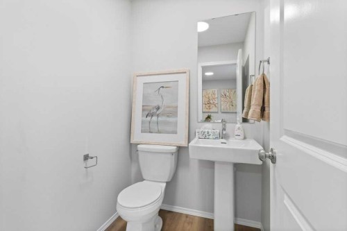 47 Louis Drive, Rural Red Deer County, AB - Indoor Photo Showing Bathroom