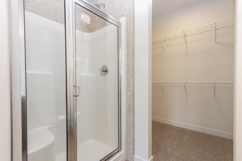 41 Terra Close, Red Deer, AB - Indoor Photo Showing Bathroom