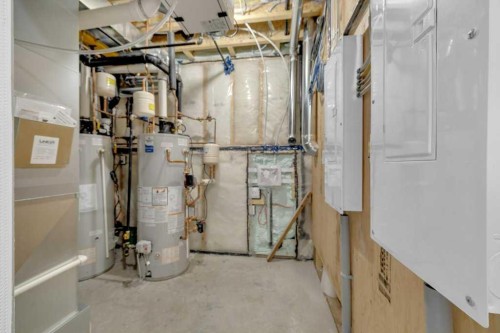 148 Red Ash Cove, Springbrook, AB - Indoor Photo Showing Basement