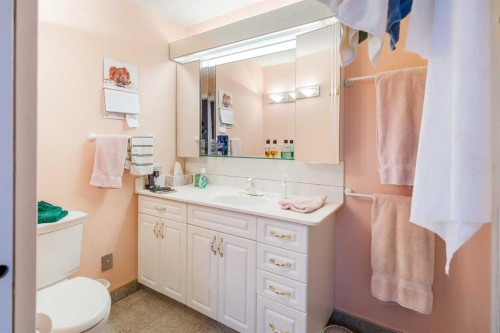 3 Rustic Road, Norglenwold, AB - Indoor Photo Showing Bathroom